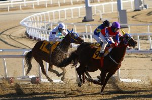 Real Money Horse Racing Betting India 2026: Step-by-Step Guide for India (2027)