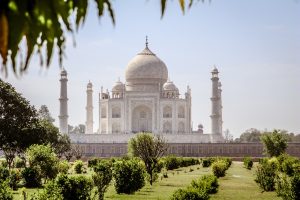 Best Real Money Betting India vs 22Bet: Which Is Better for Indians in 2027?